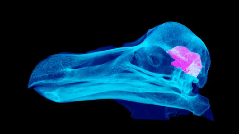 haber-gorseli-1786336489405