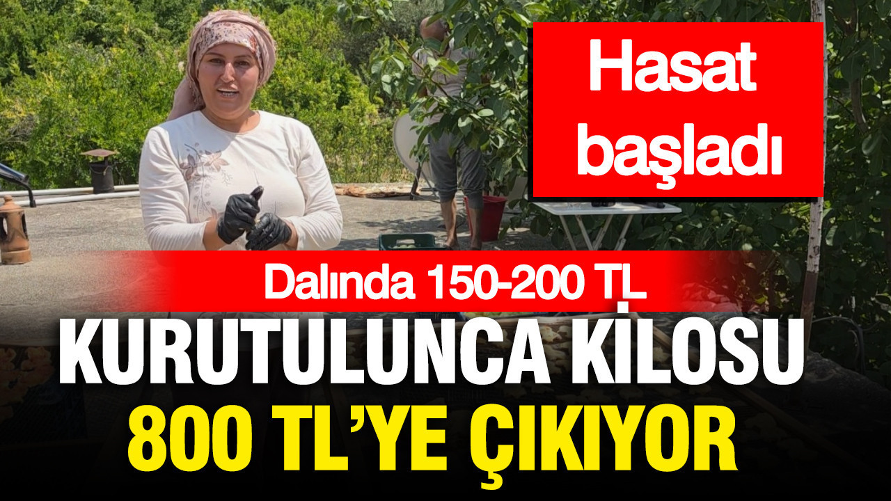 haber-gorseli-1786463458257