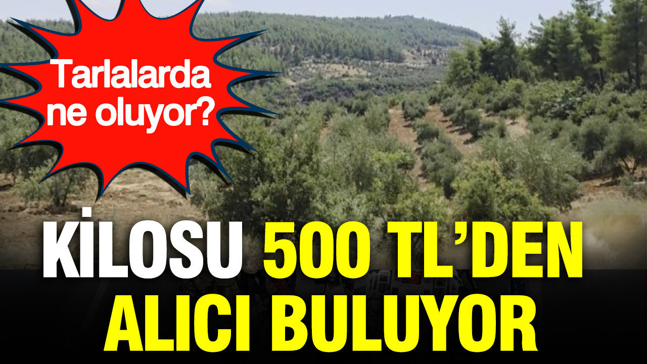 haber-gorseli-1787057909081